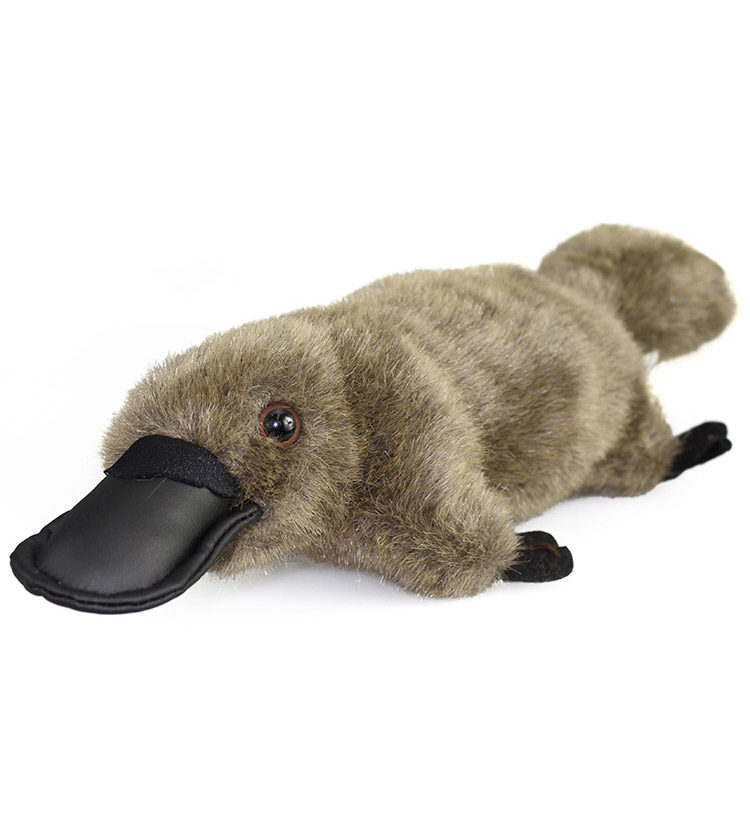 Platypus Plush Toy