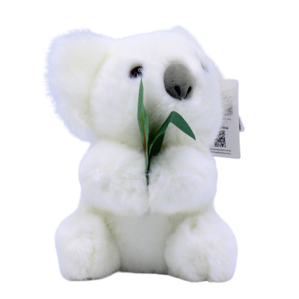 10667 Front of Australian Made White Koala with Eucalyptus Leaf Plush Toy 20cm