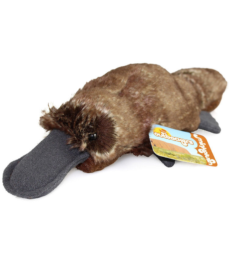 Platypus Soft Toy