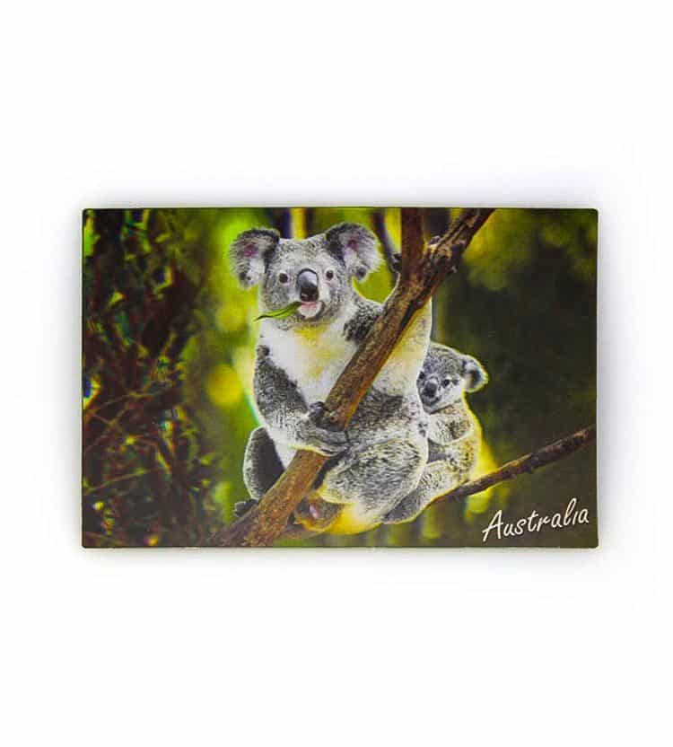 Koala Baby 3D Postcard