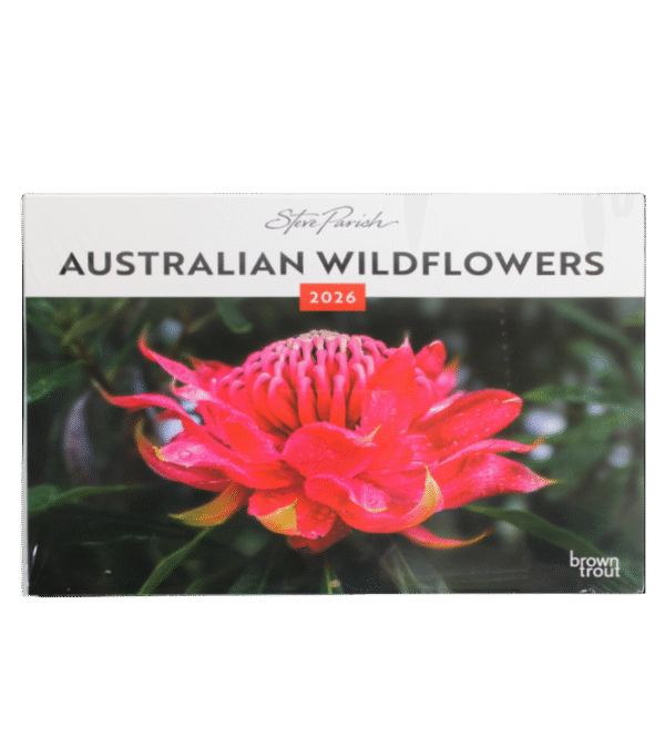 Australian WIldflowers 2026 calendar front