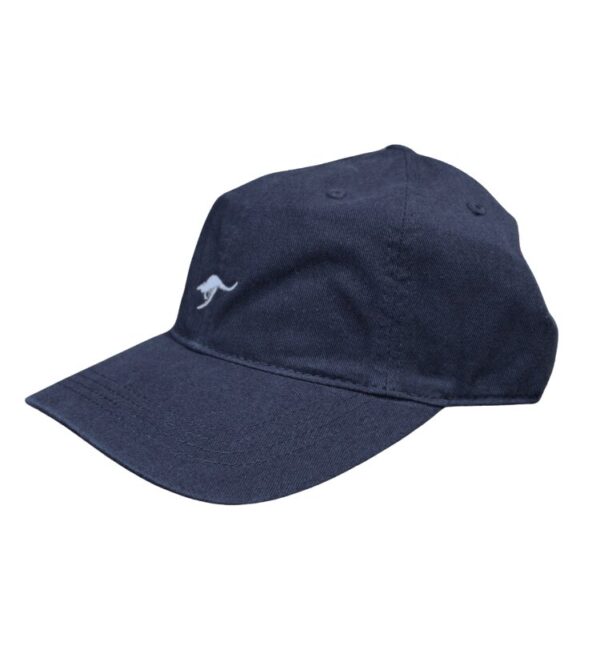 Atg   Product 1