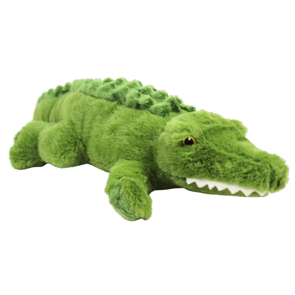 10598 Front Side Updated