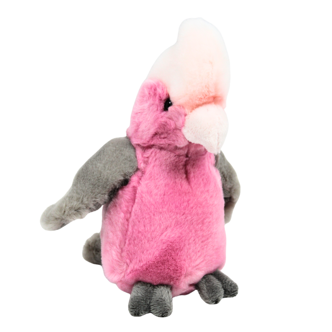 Australian Bird Plush Toys