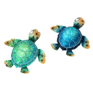 54666 Back of Happy Turtle Marble Magnet