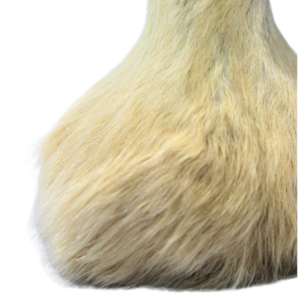 71941 Close Up Of Scrotum Roadsign Bottle Opener Fur