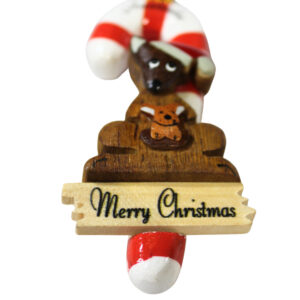 12116 Close Up of Kangaroo with Candy Cane Christmas Ornament