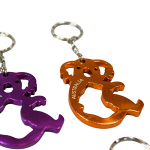 38408 Close Up of Hollow Koala Keyring Pack