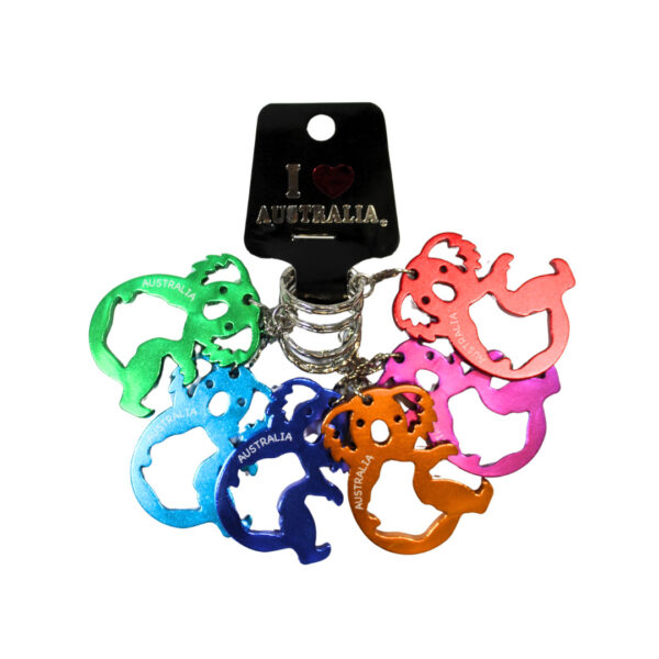 38408 Front of Hollow Koala Keyring Pack