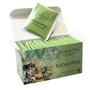 61642 Open Eucalyptus Tea Koala Collection box