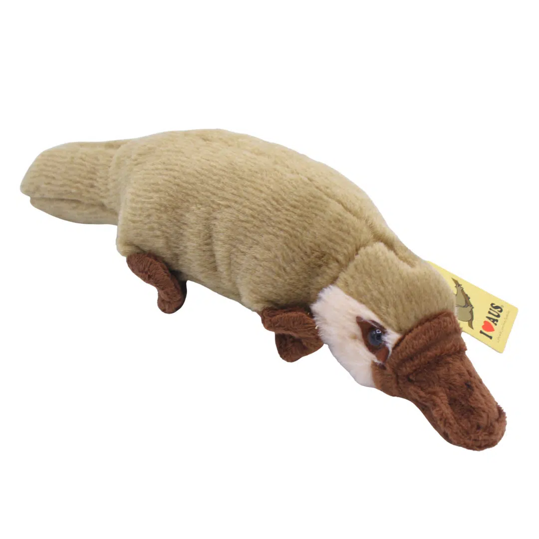 Australian Platypus Plush Toys