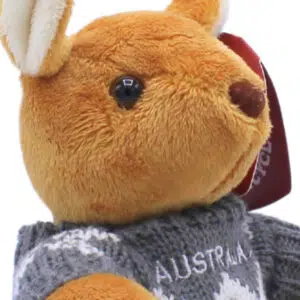 10829 Close Up of Kangaroo in Knit Jumper
