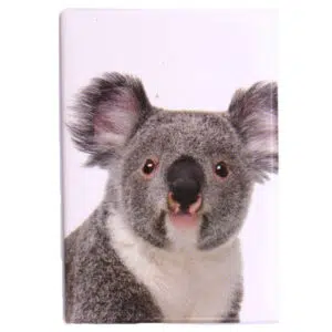 Koala Gallery Magnet