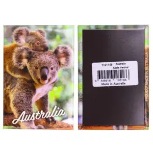 54577 Back And Front Realistic Koala Gallery Magnet