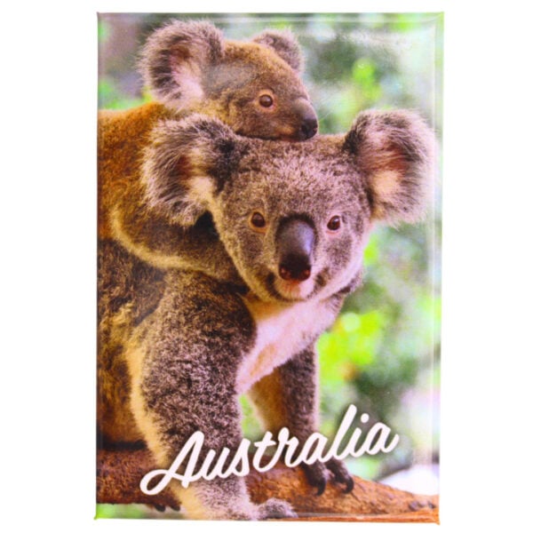 54577 Front Realistic Koala Gallery Magnet