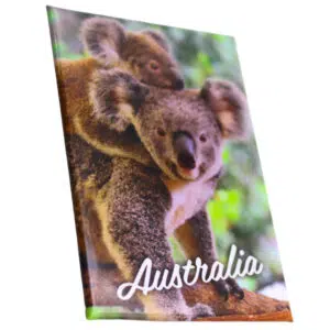 54577 Side Realistic Koala Gallery Magnet