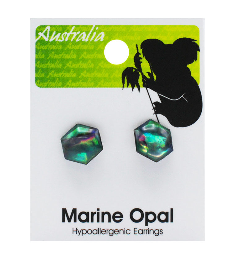 Paua Shell Koala Earrings