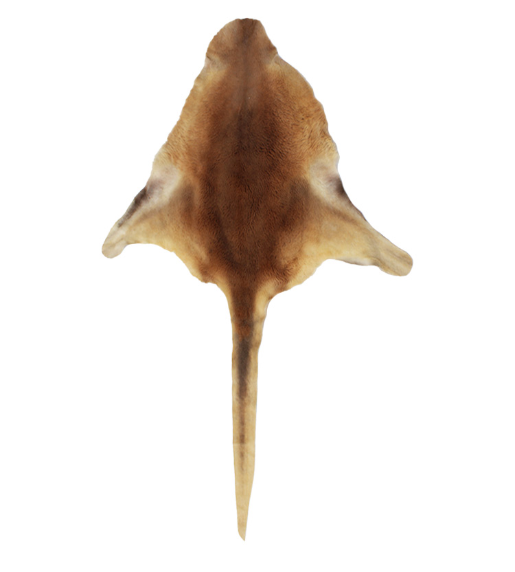 Australian Made Fur & Leather Gifts