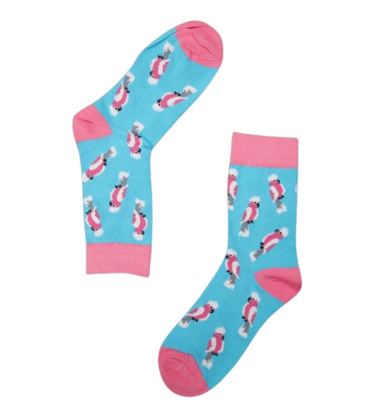 Women's Footwear
